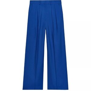 Zara Wide-Leg Pleated Pants
